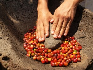 grinding coffee by hand