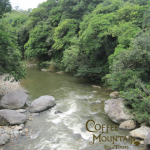 Buluba Bridge Looking Towards Charco Pato