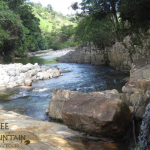 Twists in Narices River in Parque Nacional Santa Fe Panama