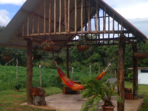 Outdoor Social Area with Hammock and Plants