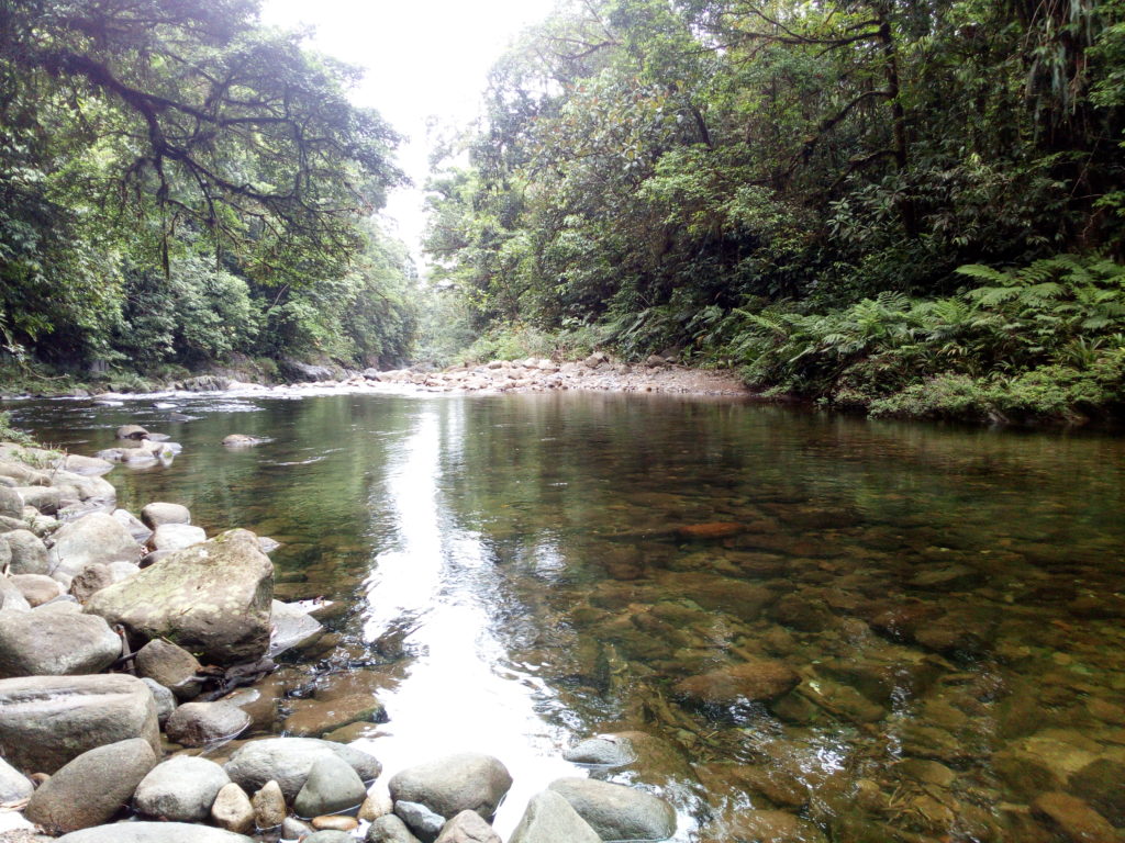 Santa Fe National Park Tours – Coffee Mountain Inn – Santa Fe, Panama Hotel